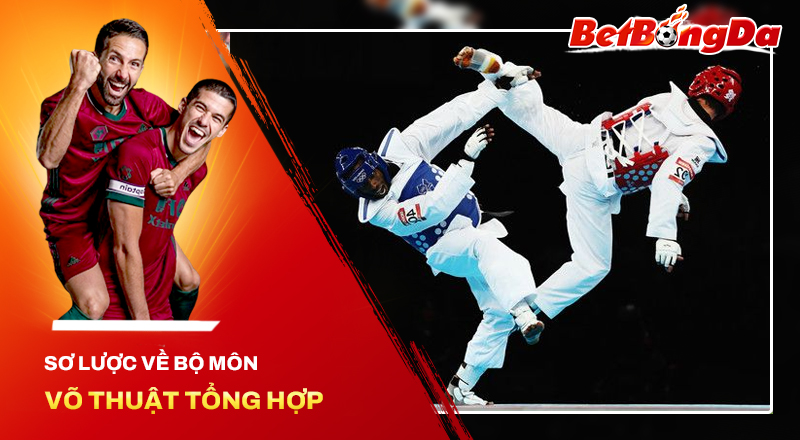 Võ thuật tổng hợp – Game cá cược độc đáo với tỷ lệ thắng cao