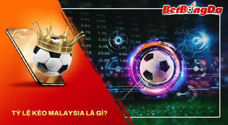 Khám phá về tỷ lệ kèo Malaysia là gì? Khám phá về tỷ lệ kèo Malaysia là gì?